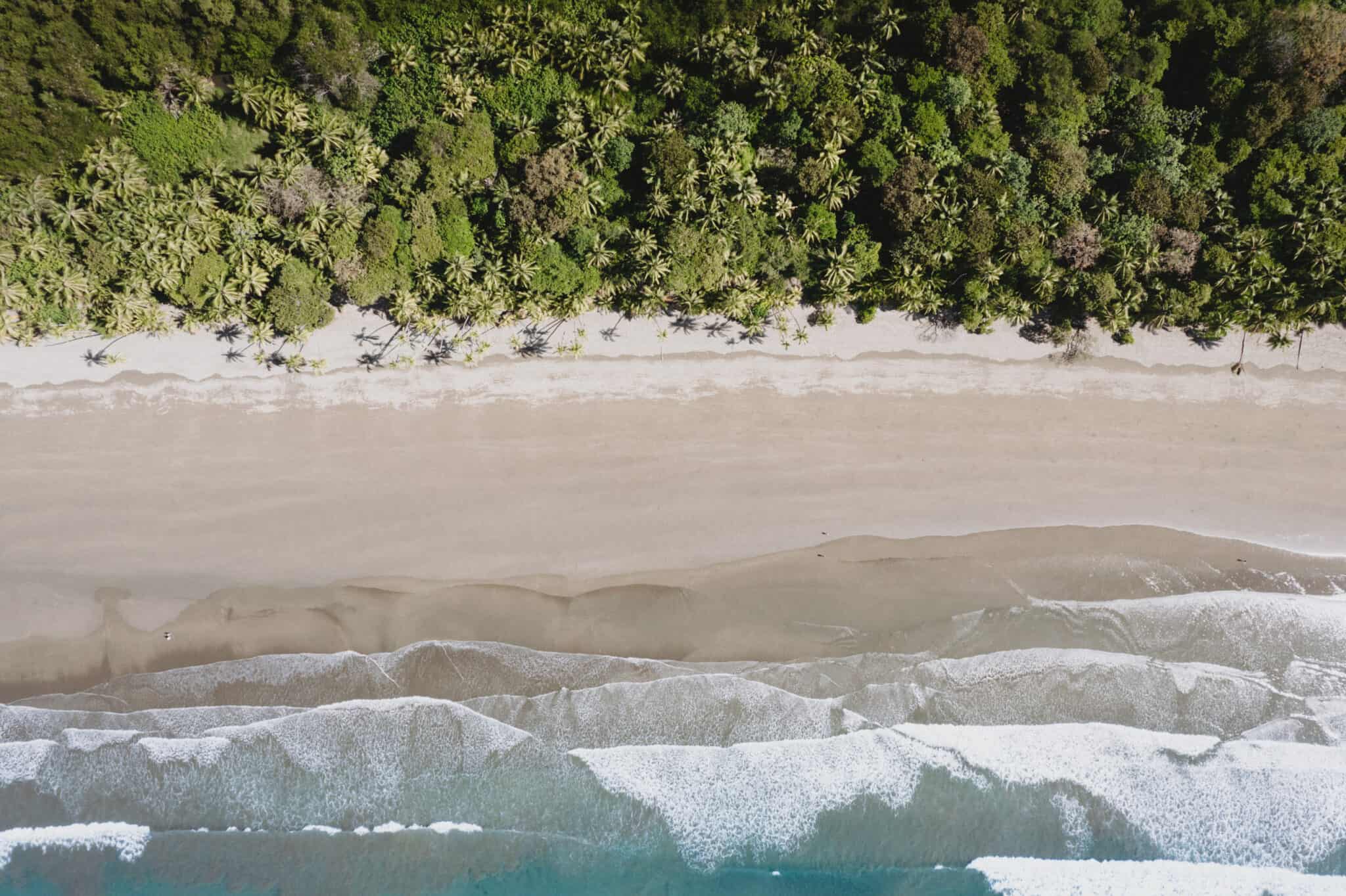 An aerial view of a beach with trees in Uvita, Costa Rica.