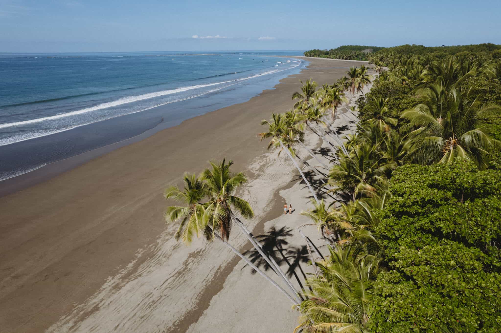 An aerial view of Uvita beach with palm trees in Costa Rica.