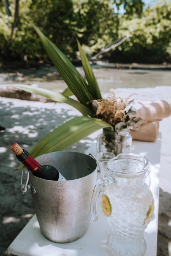 Manuel Antonio Beach Picnic