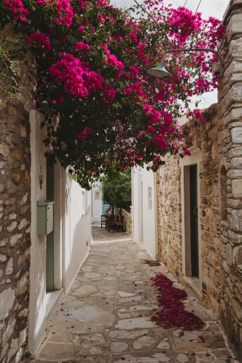 Pink bougainvillea flowers in a narrow street in Naxos Island, Greece.