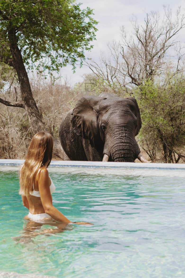 A woman in a swimsuit enjoying a unique safari experience with an elephant at Honeyguide Mantobeni Camp in South Africa.