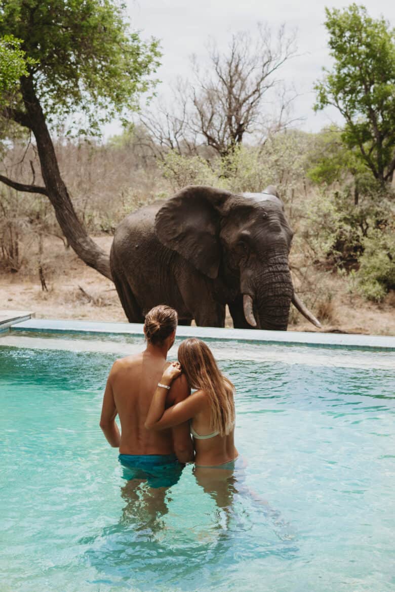 A man and woman enjoying a safari in South Africa, with an elephant in the background.