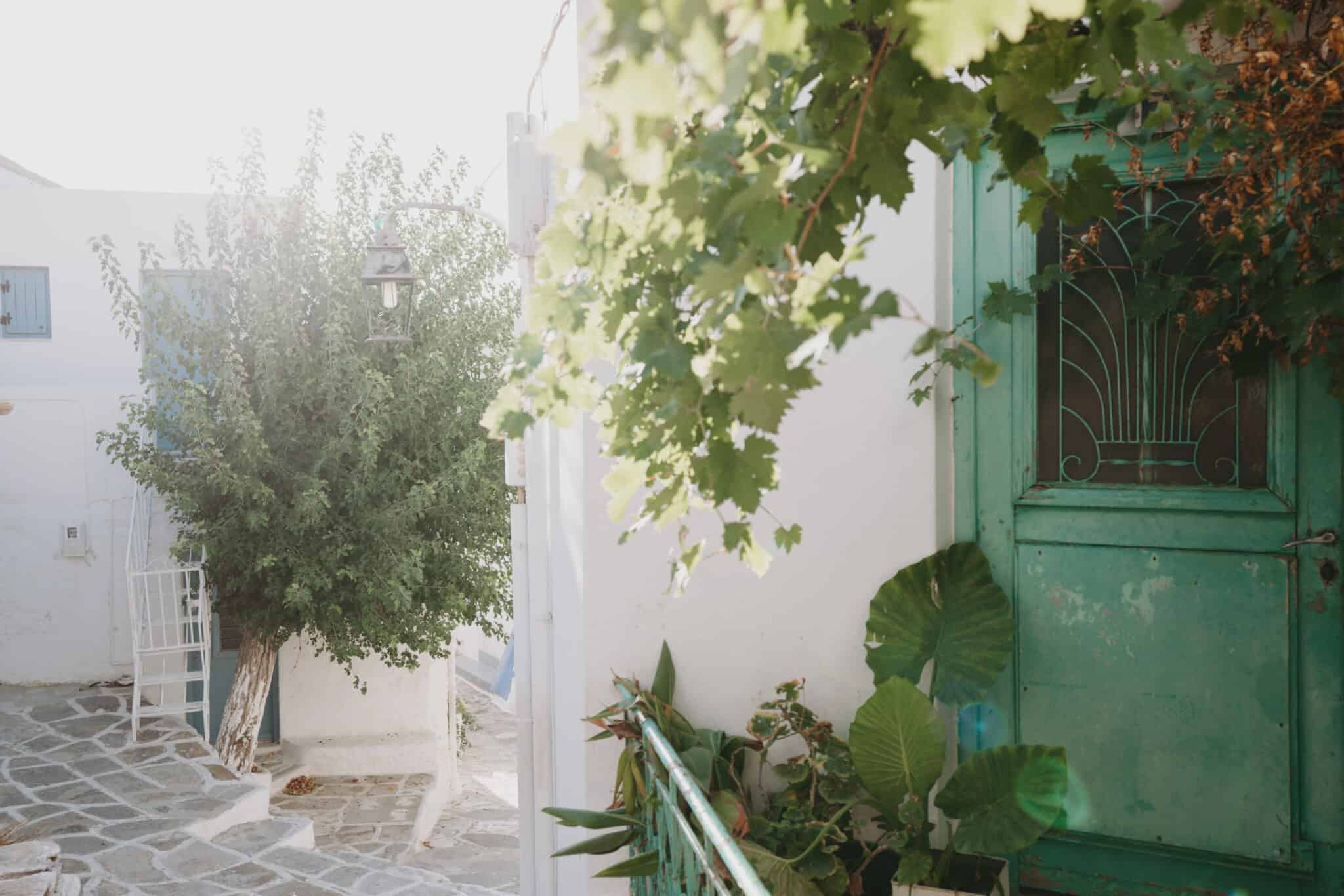 An alleyway with a green door and plants on Paros Island.