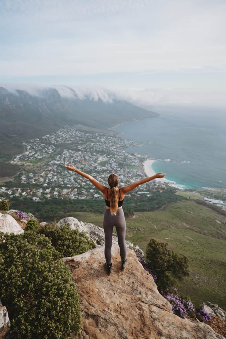 Lions head view