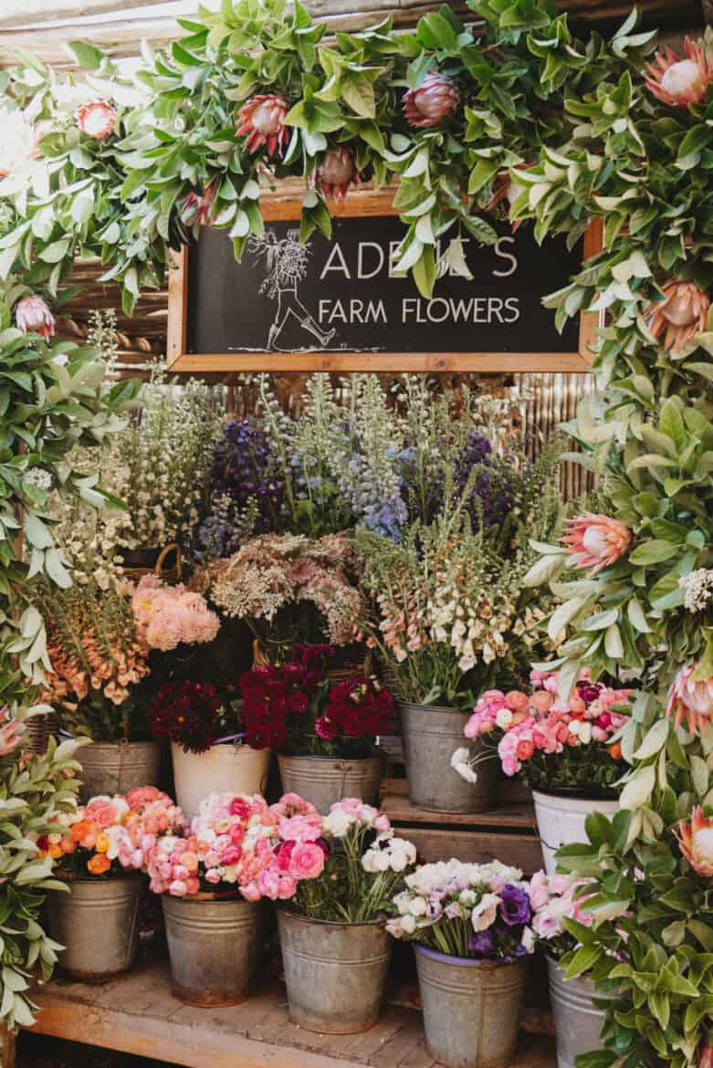 Ada's flower farm in Cape Town, South Africa.