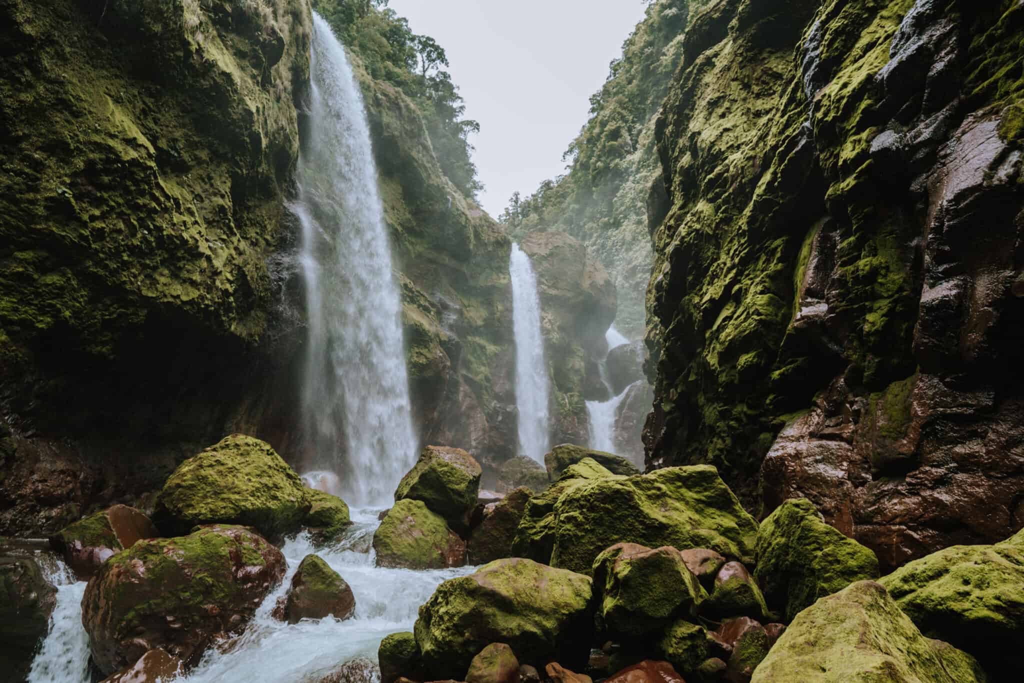 A waterfall in the middle of a mossy forest.