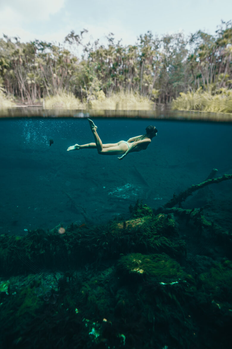 A person is swimming in the water near a tree.