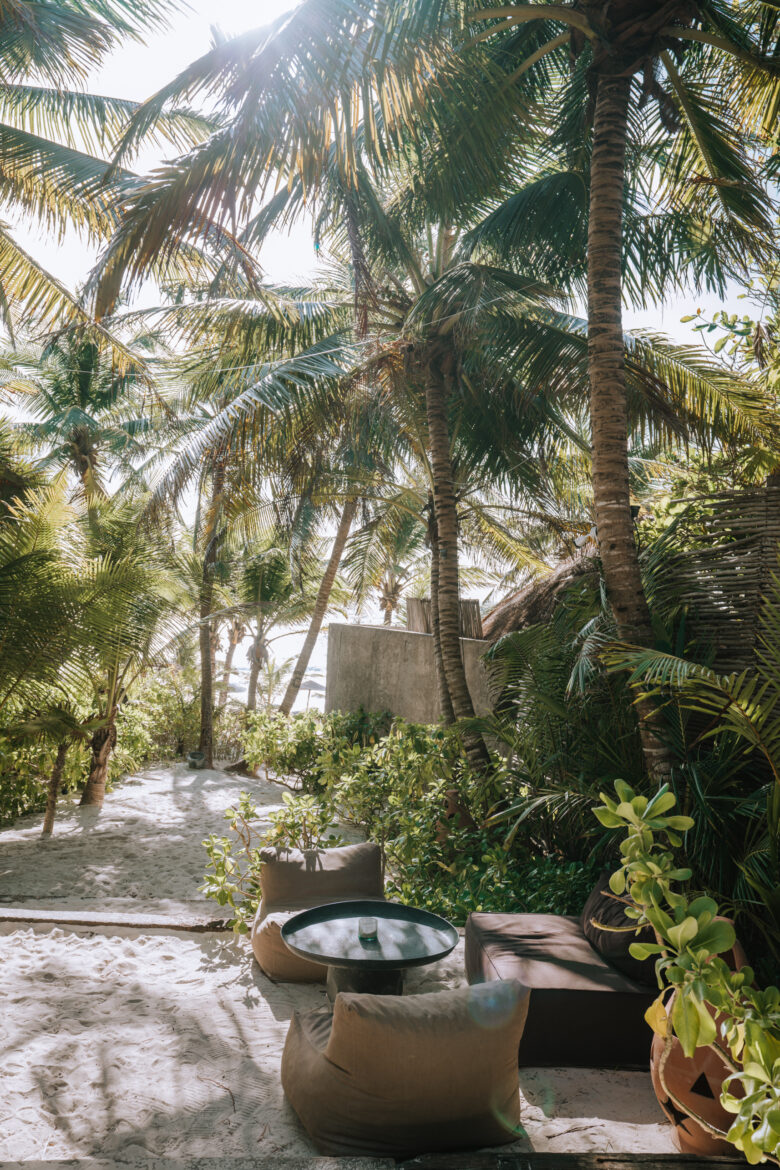 A beach area with palm trees and lounge chairs.