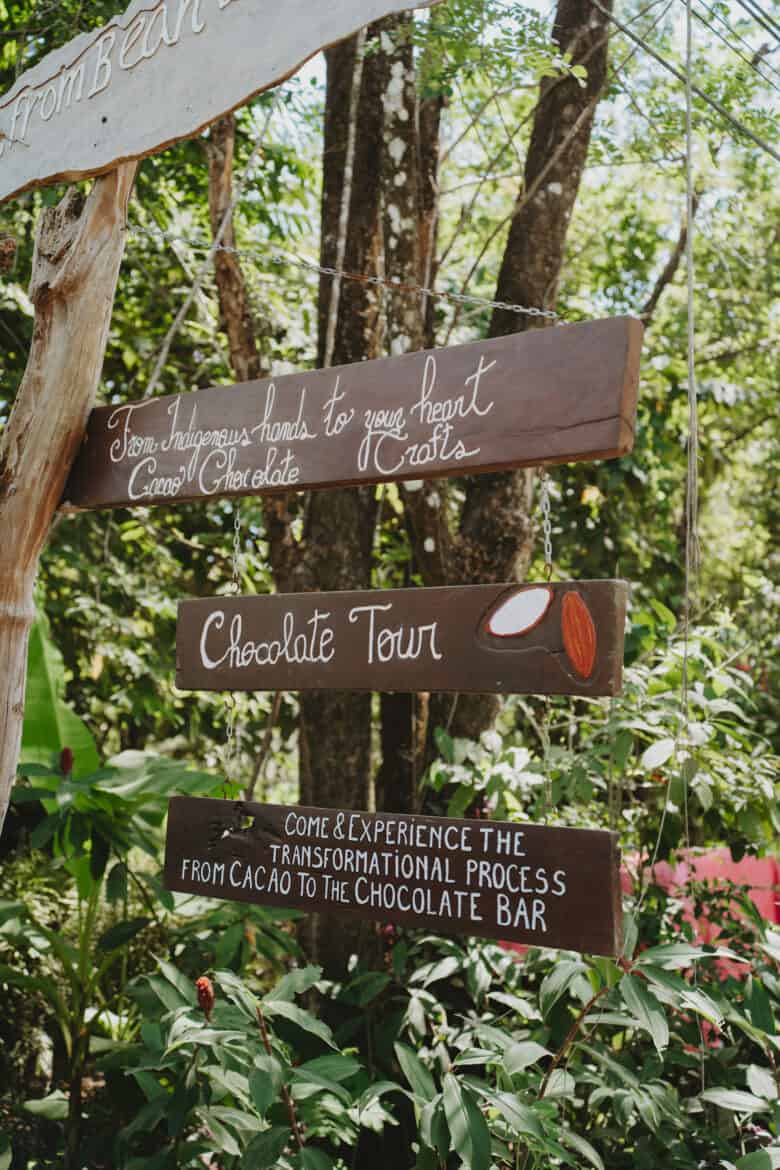 A wooden sign in Montezuma, Costa Rica with a chocolate tree in the background.
