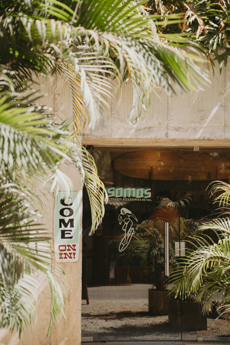 A palm tree in front of a building.